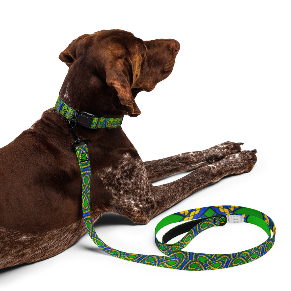 VoK Ouroboros Green Pet collar & leash