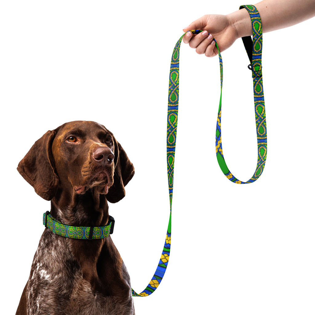 VoK Ouroboros Green Pet collar & leash