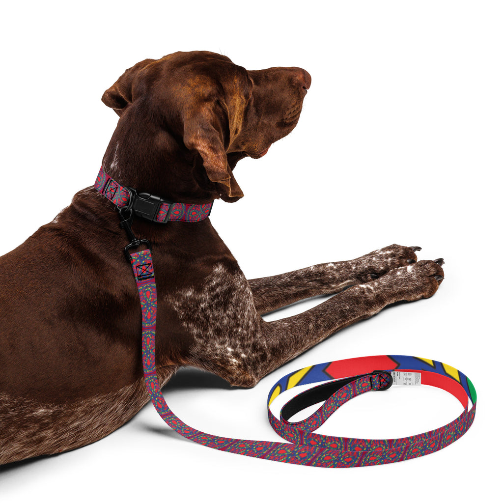 VoK Ouroboros Red Pet collar & leash