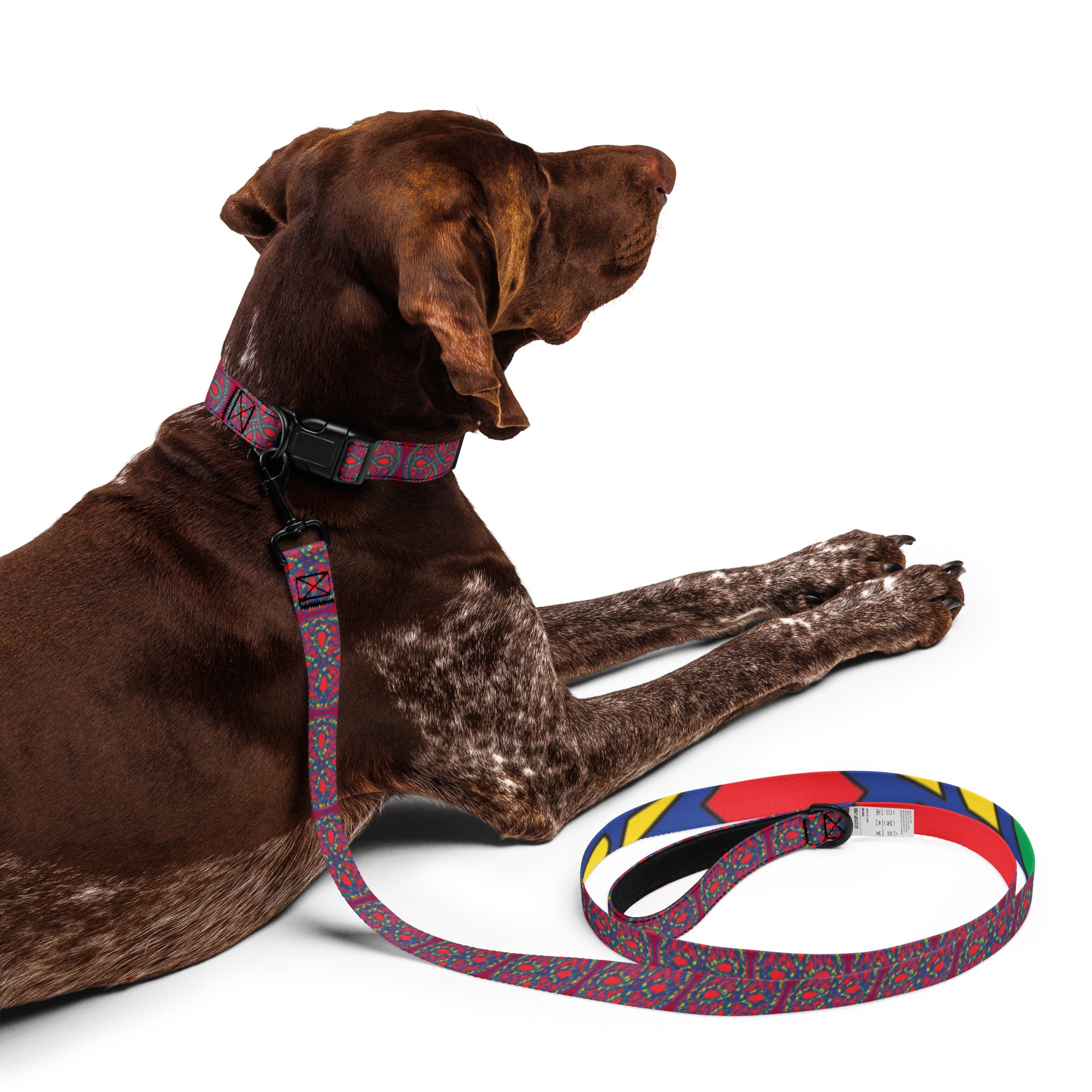 VoK Ouroboros Red Pet collar & leash